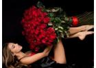 Best Luxury Roses Birmingham | Premium Fresh Rose Delivery