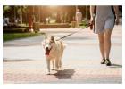 Dog Walkers in Bhubaneswar