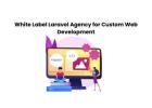 White Label Laravel Agency for Custom Web Development