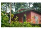 Best Cottages in Coorg Amid Coffee Plantations