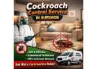 Advanced Cockroach Control Service in Gurgaon for Safe and Lasting Results | Service Mantra