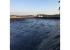 High-Quality Liner for Agriculture Pond for Durable Water Retention | Macro Sheet