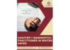 Chapter 7 Bankruptcy Practitioner in