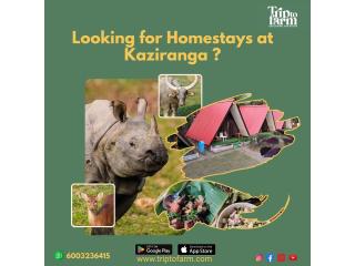 Homestays in Kaziranga Book at 1499/-