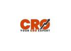 Low Sales? Hire an Ecom CRO Expert Today