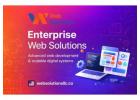Enterprise web solutions Platforms | Web Solutions LLC