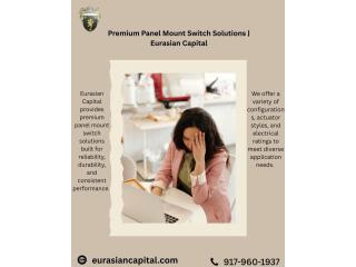 Premium Panel Mount Switch Solutions | Eurasian Capital