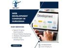 Leading Web Development Company in Gurugram | Why Shy