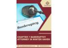 Chapter 7 Bankruptcy Attorney in 