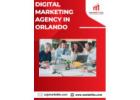 Top-Rated Digital Marketing Agency in