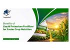Potassium thiosulphate liquid fertilizer in India | imperialagro