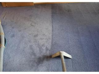 Reliable Same Day Carpet Cleaning Services Near You