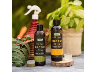 Plant Covers for Winter Care in India | IFFCO Urban Gardens