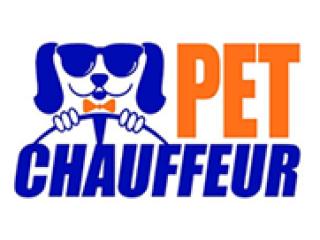 Your Pet's Journey Begins Here: Safe Overseas Transport from NYC!