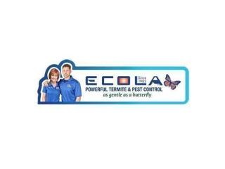 Ecola Termite - Orange County