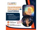 Palm Reading Specialists in California | Tarot Reading in California