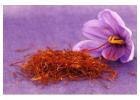 Saffron/Kesar Price for B2B Trade