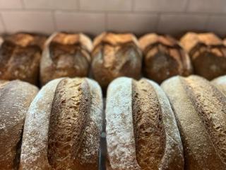 Celebrations Taste Better with Artisan Desserts