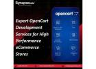 Expert OpenCart Development Services for High Performance eCommerce Stores