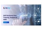 Need SAP Business One Help? Support & Training Available
