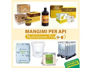 Agritura – Nutrizione Energetica Avanzata per Api e Alveari ad Alta Performance