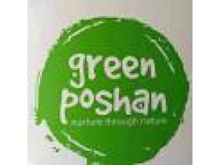 Chemical-Free Rice Online India – Premium Natural Rice | GreenPoshan
