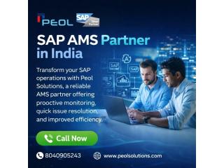 SAP AMS Partner in India | SAP Solution in Bangalore