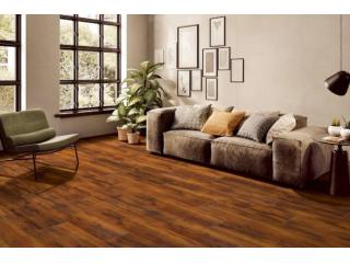 Pranasleep Mattresses in Bangalore