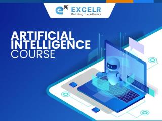 Elevate to AI Leadership: Premier Bangalore Skill Mastery