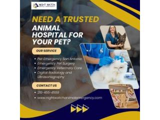 Need a Trusted Animal Hospital for Your Pet?