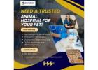 Need a Trusted Animal Hospital for Your Pet?
