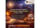 Famous Financial Problems Solution Astrologer in
