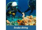 Private Scuba Diving Tour Tenerife | Privatetourtenerife.com