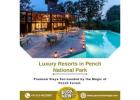 Resorts in Pench National Park for a Luxury Jungle Stay
