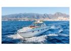 Boat Hire Tenerife | Bananapalmbay.com