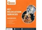Trusted Pet Relocation Services – Quick Packers Movers