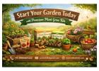 Start Your Garden Today with Premium Plant Grow Kits – Sattvishtik
