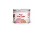 Shop Royal Canin Dog & Cat Food At 77Paws