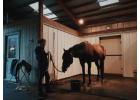 Upgrade Your Horse Stalls Performance with Duramax Vinyl Panels