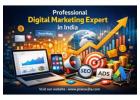 Professional Digital Marketing Expert in India – Grow Your Business Online