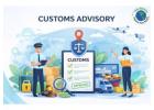 Expert Customs Advisory for Seamless Trade Compliance | Exim Advisory