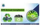 Reliable EPR Annual Compliance Support for Businesses -  Exim Advisory