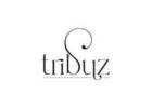 Tribuz Interiors Gurgaon | Luxury Interior Design Company in Delhi NCR