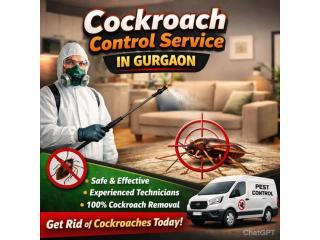 Cockroach Control Service in Gurgaon | Safe and Effective Treatment by Service Mantra Pest Control
