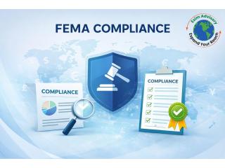 Trusted FEMA Compliance Services | Exim Advisory