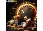 Lotus Betting ID IPL Cricket Betting Trusted Your Lotus365 ID
