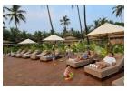 Best Beach Resorts in North Goa for Family with Peaceful Stay – Anemos