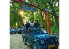 Affordable Jim Corbett Packages for Perfect Getaway