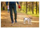Dog Walking Services in Chennai