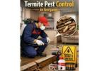 Termite Pest Control in Gurgaon – Professional Anti Termite Treatment by Service Mantra 